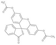 Fluorescein diacetate, 97%, pure