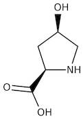 cis-4-Hydroxy-D-proline, 99%