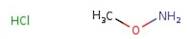 Methoxylamine hydrochloride, 98+%