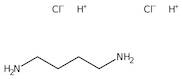 1,4-Diaminobutane dihydrochloride, 99+%