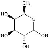 D(+)-Fucose, 98+%