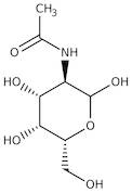 N-Acetyl-D-galactosamine, 97%