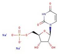 Uridine 5'-monophosphate, disodium salt, hydrate, 98%