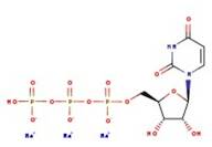 Uridine 5'-triphosphate, trisodium salt, hydrate, 90%