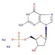 2'-Deoxyguanosine 5'-monophosphate, sodium salt hydrate, 99%