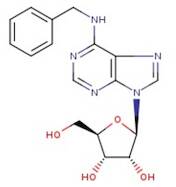 N6-Benzyladenosine