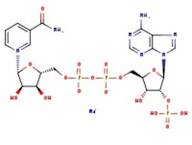 β-Nicotinamide adenine dinucleotide phosphate sodium salt hydrate, 97+%