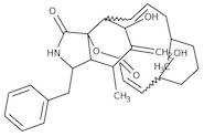 Cytochalasin B