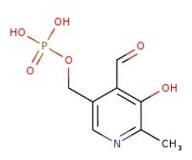 Pyridoxal 5-phosphate monohydrate, 99%