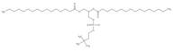 L-α-Dipalmitoyl phosphatidylcholine, 98%