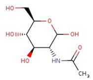 2-Acetamido-2-deoxy-D-glucopyranose, 98%