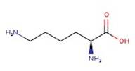 L-Lysine, 98%