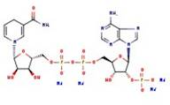 NADPH tetrasodium salt hydrate, 96%, extra pure