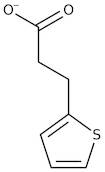 3-(2-Thienyl)propanoic acid, 98%