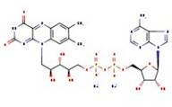 Flavin adenine dinucleotide disodium salt