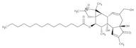 Phorbol 12-myristate 13-acetate, 97%