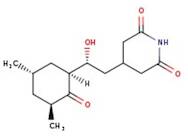 Cycloheximide, 95%