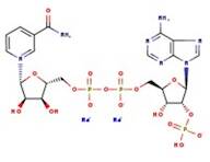 Triphosphopyridine nucleotide, disodium salt, 97+%