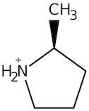 2-Methylpyrrolidine, 98%