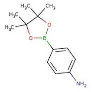 4-(4,4,5,5-Tetramethyl-1,3,2-dioxaborolan-2-yl)aniline, 97%