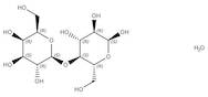 α-D-Lactose monohydrate