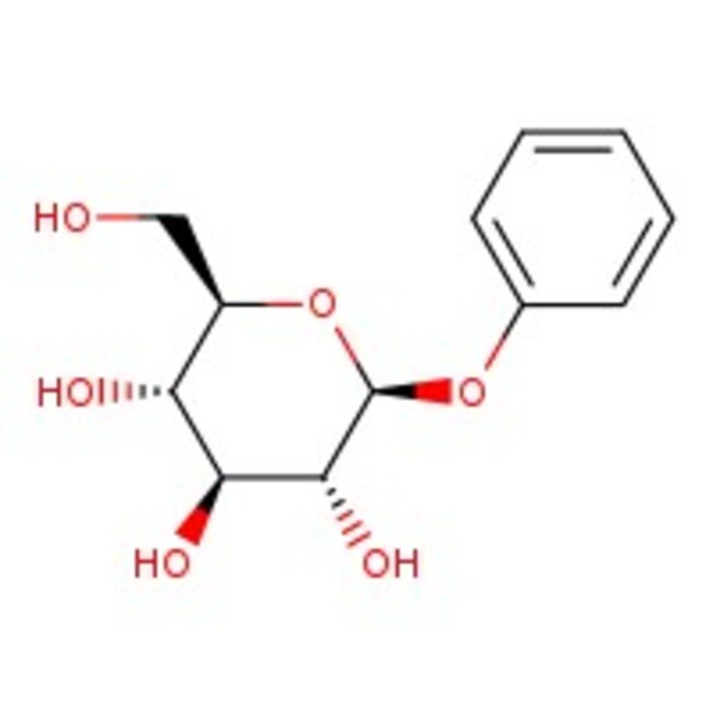 Phenyl β-D-glucopyranoside hydrate, 98%