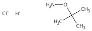 O-(tert-Butyl)hydroxylamine hydrochloride, 99%