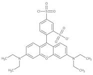 Lissamine Rhodamine B Sulfonyl Chloride, +99%