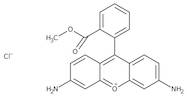 Rhodamine 123, +99%