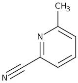 2-Cyano-6-methylpyridine, 97%