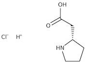 L-β-Homoproline hydrochloride, 98% 