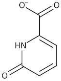 6-Hydroxypyridine-2-carboxylic acid, 95%