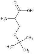 O-tert-Butyl-L-serine, 97%