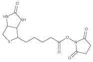 (+)-Biotin N-hydroxysuccinimide ester, 98%