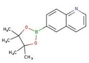 6-Quinolineboronic acid pinacol ester, 97%