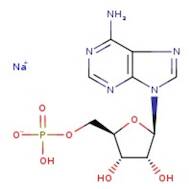 Adenosine 5'-monophosphate sodium salt hydrate, 99%