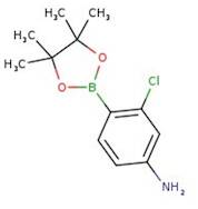 4-Amino-2-chlorophenylboronic acid pinacol ester, 97%