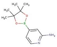 2-Aminopyridine-4-boronic acid pinacol ester, 97%