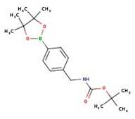 4-[(tert-Butoxycarbonylamino)methyl]phenylboronic acid pinacol ester, 97%