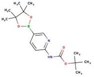 6-(tert-Butoxycarbonylamino)pyridine-3-boronic acid pinacol ester, 97%