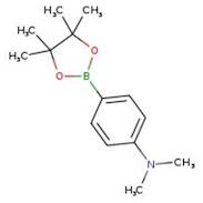 4-(Dimethylamino)phenylboronic acid pinacol ester, 97%