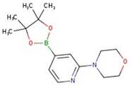 2-Morpholinopyridine-4-boronic acid pinacol ester, 97%