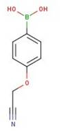 4-(Cyanomethoxy)phenylboronic acid, 97%