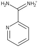 2-Amidinopyridine hydrochloride, 97%