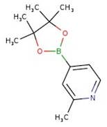 2-Methylpyridine-4-boronic acid pinacol ester, 95%