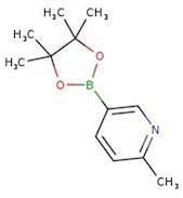 6-Methylpyridine-3-boronic acid pinacol ester, 95%