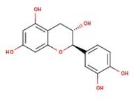 (+)-Catechin hydrate