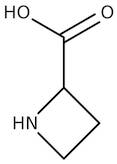 Azetidine-2-carboxylic acid