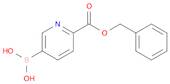 2-Pyridinecarboxylic acid, 5-borono-, 2-(phenylmethyl) ester