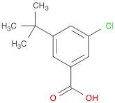 Benzoic acid, 3-chloro-5-(1,1-dimethylethyl)-